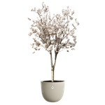 sereh rond 47cm paddenstoel beige